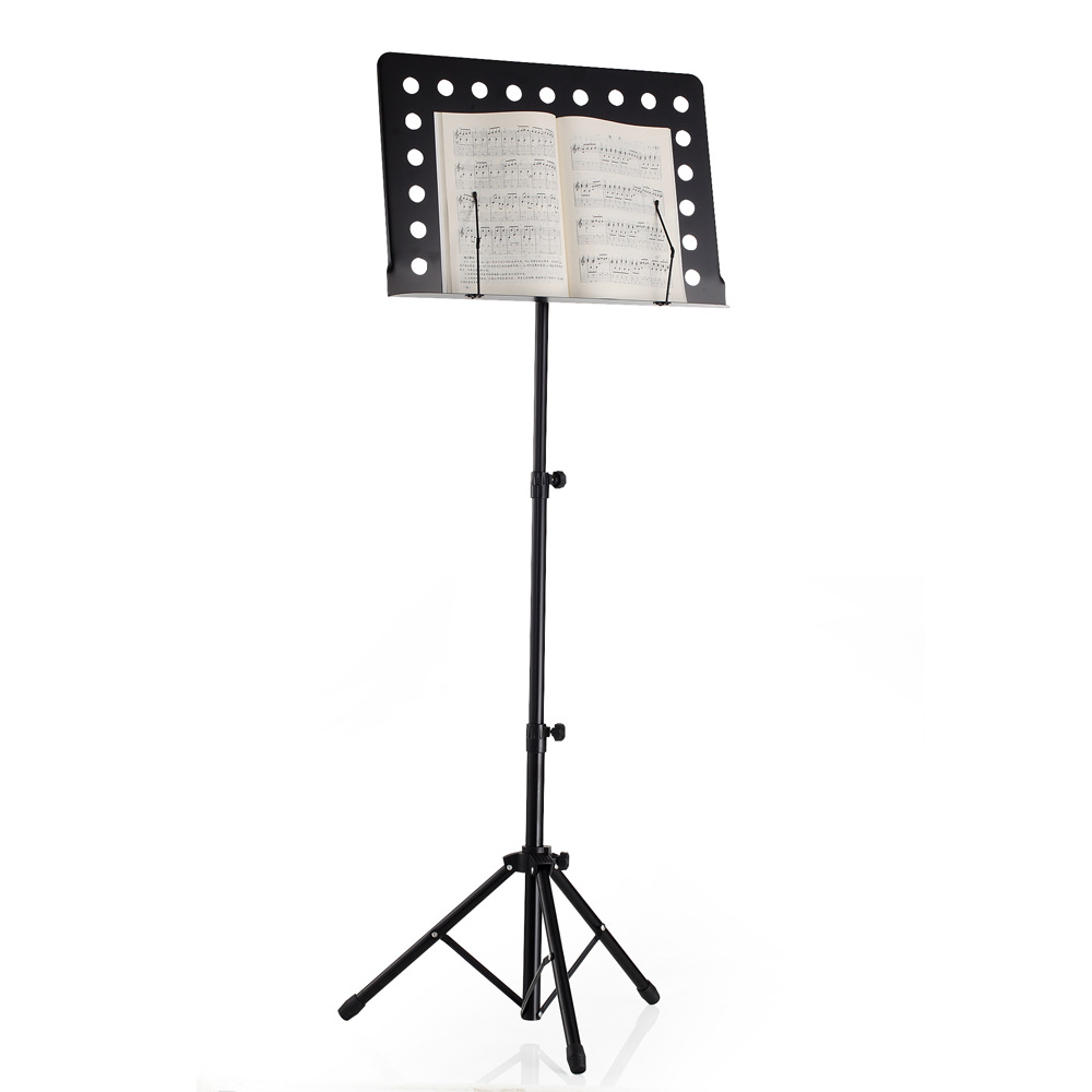 Draagbaar en verstelbaar, groo - Musical Instrument Koto recensie en prijs