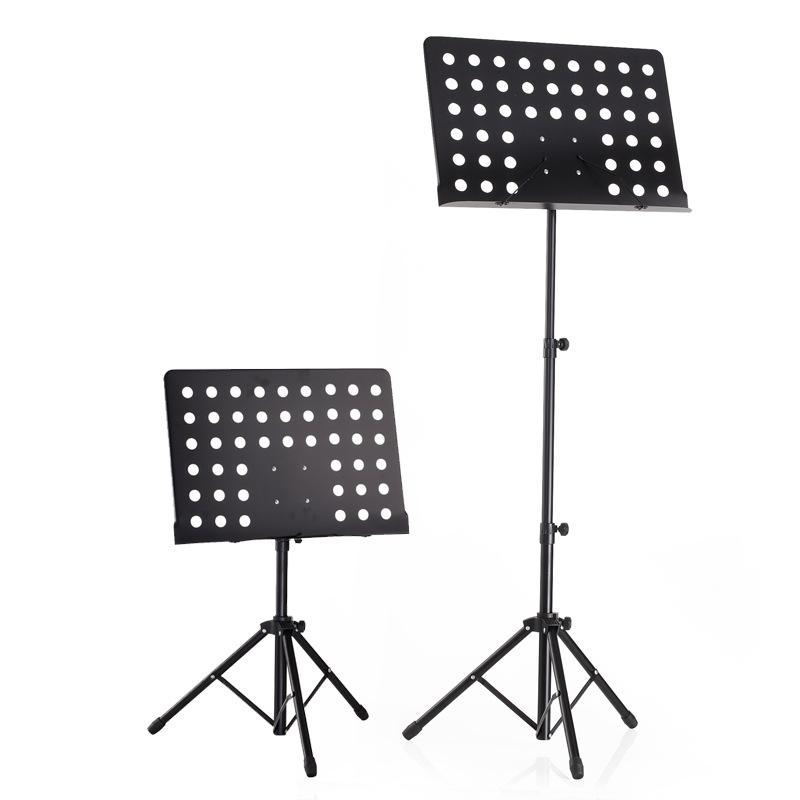 Draagbaar en verstelbaar, groo - Musical Instrument Koto recensie en prijs